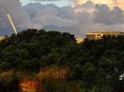 102-Year-Old Transport Ship Sprouts Floating Forest