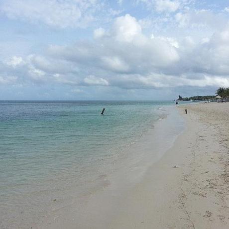 Dear paradise, please don't leave me. You're so beautiful. I want to stay with you forever. #roatan #nofilter #beachvacation