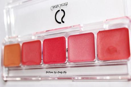 Cinema Secrets Lip Palette Kit 12 Review