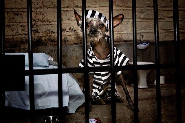 Chini Prisoner Photo by Irina Werning