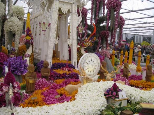 Oriental orchids at Chelsea Flower Show