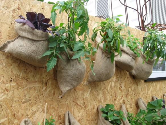 Hessian sack planters Chelsea Flower Show