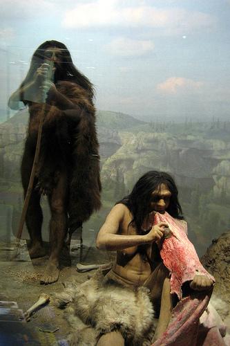 Article: Did Humans Really Eat Neanderthals? Charles Choi, LiveScience Contributor