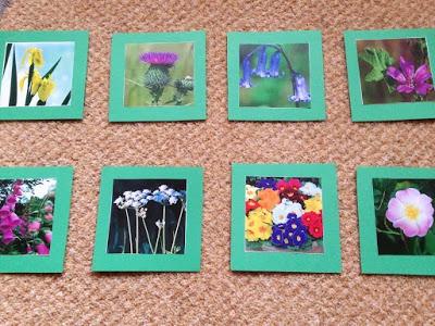 British Wild Flower Matching Cards