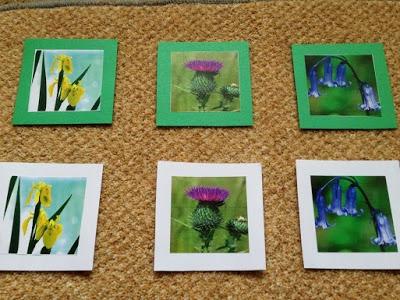 British Wild Flower Matching Cards