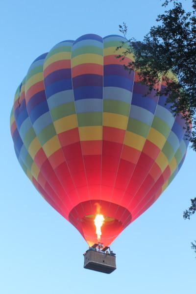Temecula Balloon and Wine Fest 026