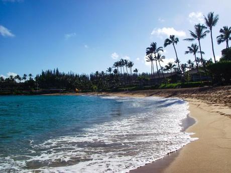 DSCF7654 650x487 Maui: Napili Beach