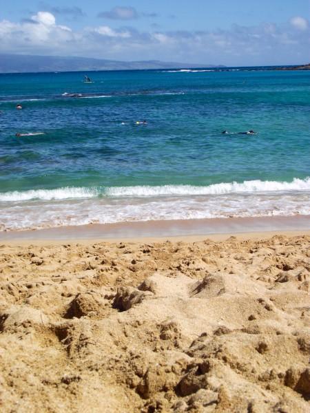 DSCF7685 450x600 Maui: Napili Beach