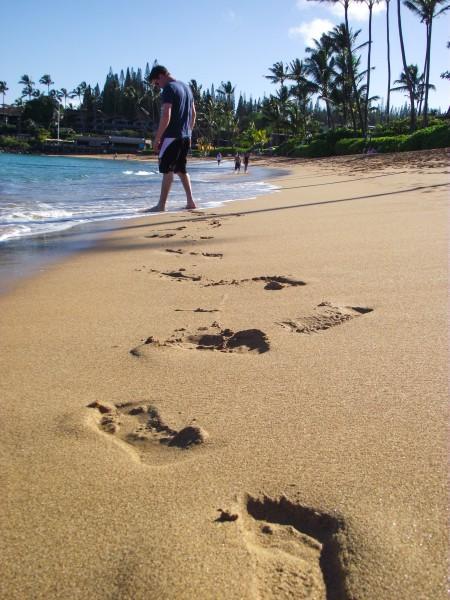 DSCF7660 450x600 Maui: Napili Beach