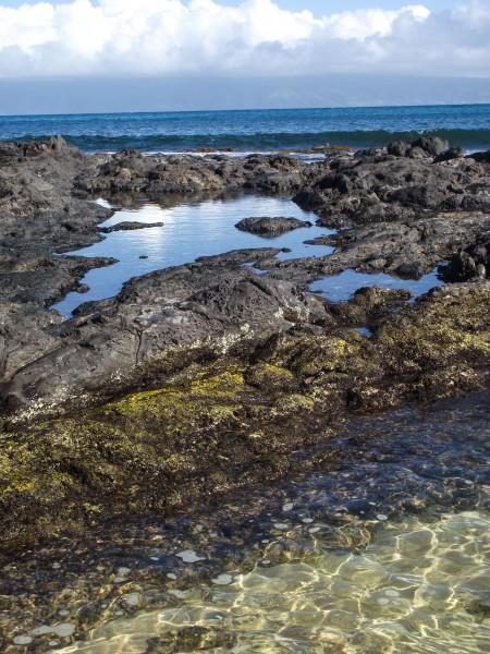 DSCF7672 450x600 Maui: Napili Beach