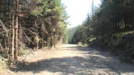 logging road along the wicklow way  hiking trail - wicklow mountains - ireland