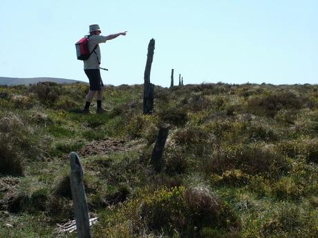 bob points out a deer in meadow - wicklow mountains national park - ireland