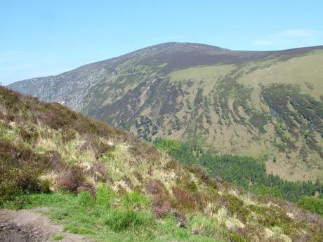 mountain side - wicklow mountains national park - ireland