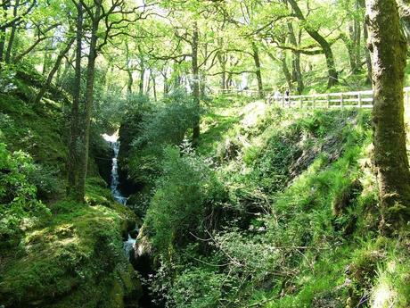 poulanass waterfall - wicklow mountains national park - ireland