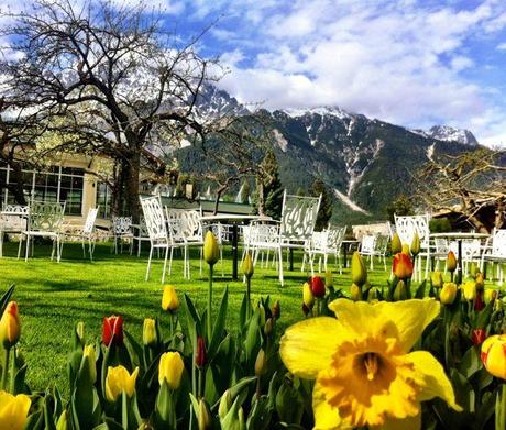 Flowers and mountains at the Alpenresort Schwarz in Tyrol, Austria.