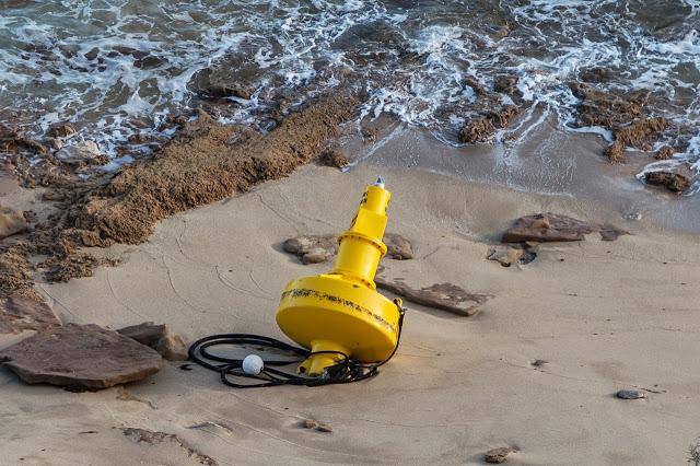 navigation buoy washed up on beach point nepean