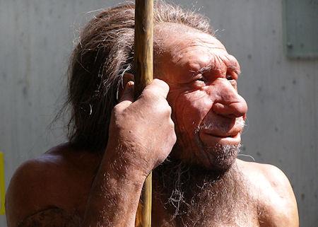 Why Did The Neanderthals Die Out?