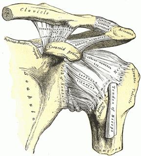 Friday Q&A;: Tight Shoulders