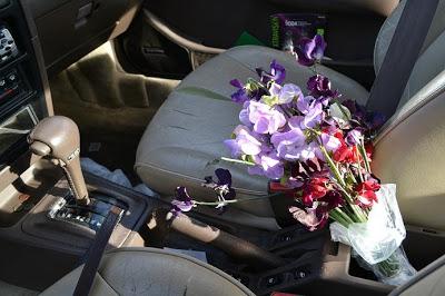 photo a day, photography, sweet peas, car