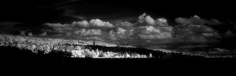 artborghi-infrared-d800-lakezurich-panorama-3small