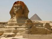 Somebody Asked Ginger Sphinx Image Again…..