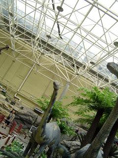 Beijing Museum Review: Beijing Museum of Natural History (北京自然博物館)