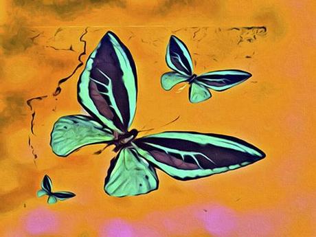 Creating A Menopause Goddess Group Part 3 Butterflies Together © lynette sheppard