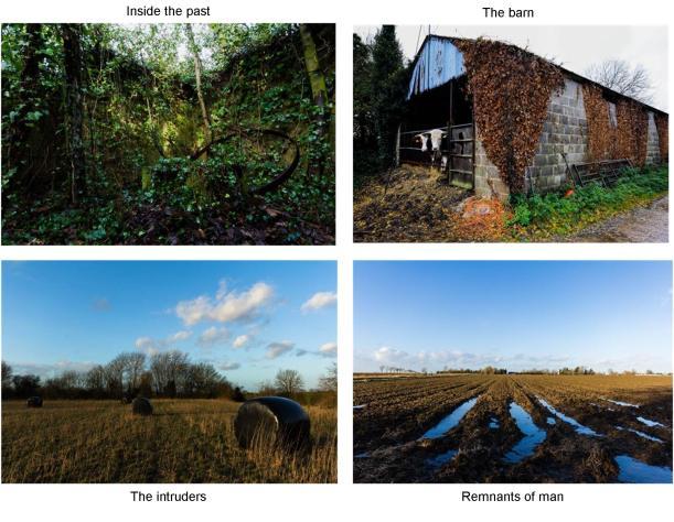 claire lacey man v nature images the barn inside the past remnants of man