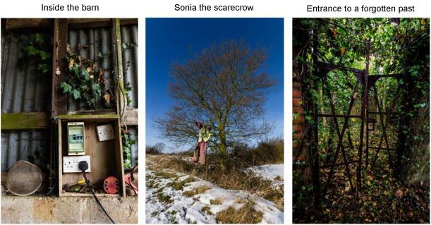 claire lacey man v nature images sonia the scarecrow entrance to a forgotten past