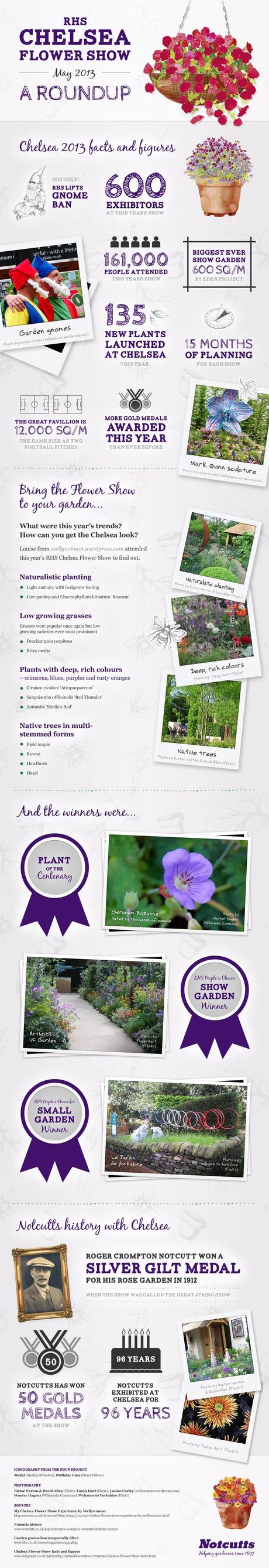 RHS Chelsea Flower Show Infographic