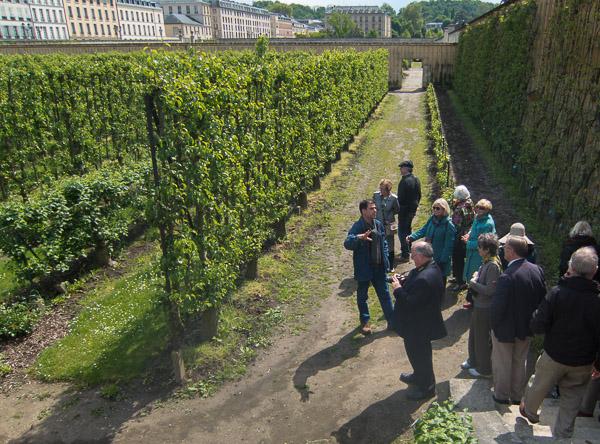 photo of potager, director, and espaliered trees