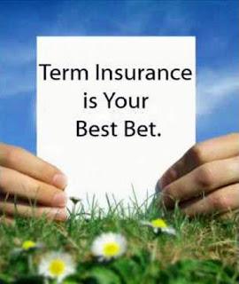 Term life insurance or whole life insurance? - Clarifying your unanswered queries