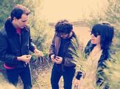 Gold Lake Glimmers with Track Already Exist’ [stream]