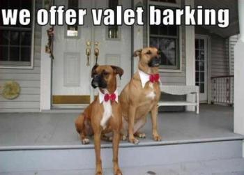 ValetBarking