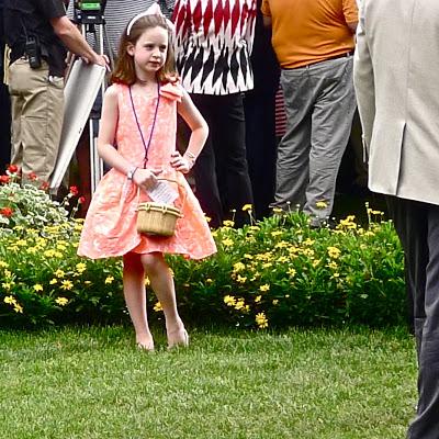 the belmont stakes horserace.