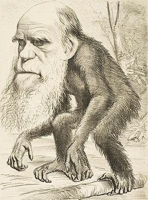 Evolution vs. Creationism–Comparing Consequences