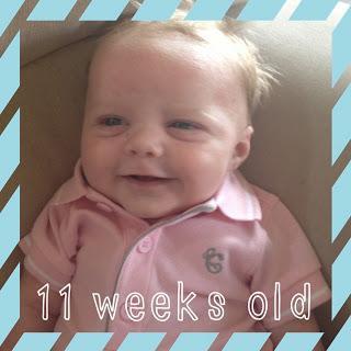 Baby Watch: Week 11!