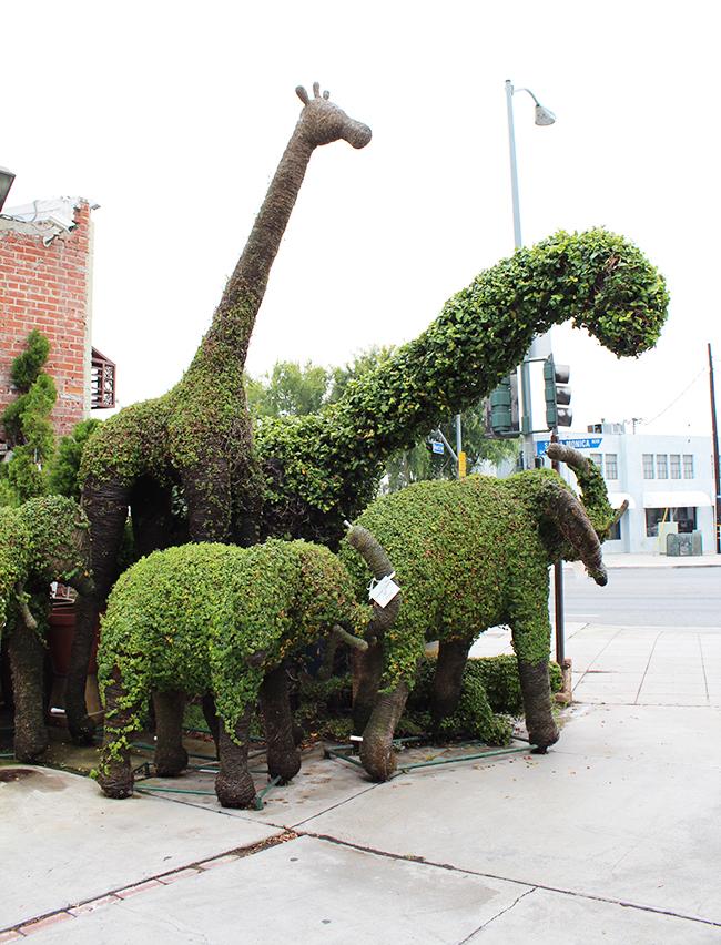 animal-topiaries