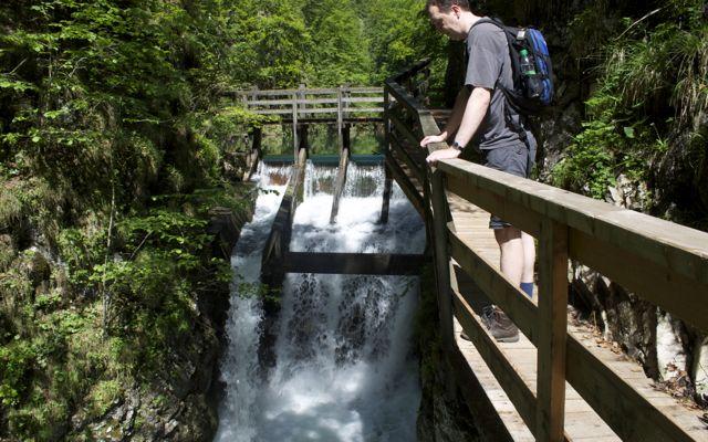 Beautiful hike along a gorge and historic logging route.