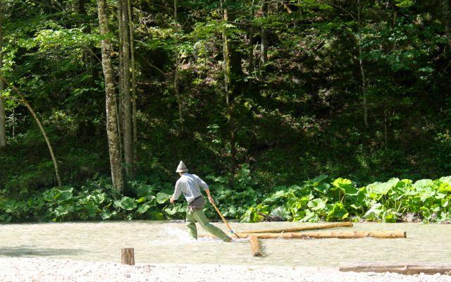 Re-enactment of traditional logging in Mostviertel, Austria.