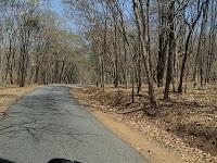 73) Br Hills - Furnace Ride: (16/3/2013)