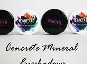 Concrete Mineral Eyeshadow Review Looks