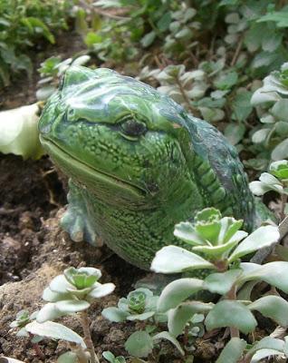 Morning Tea and a Game for Boys