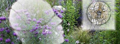 RHS Hampton Court 2013: Preview