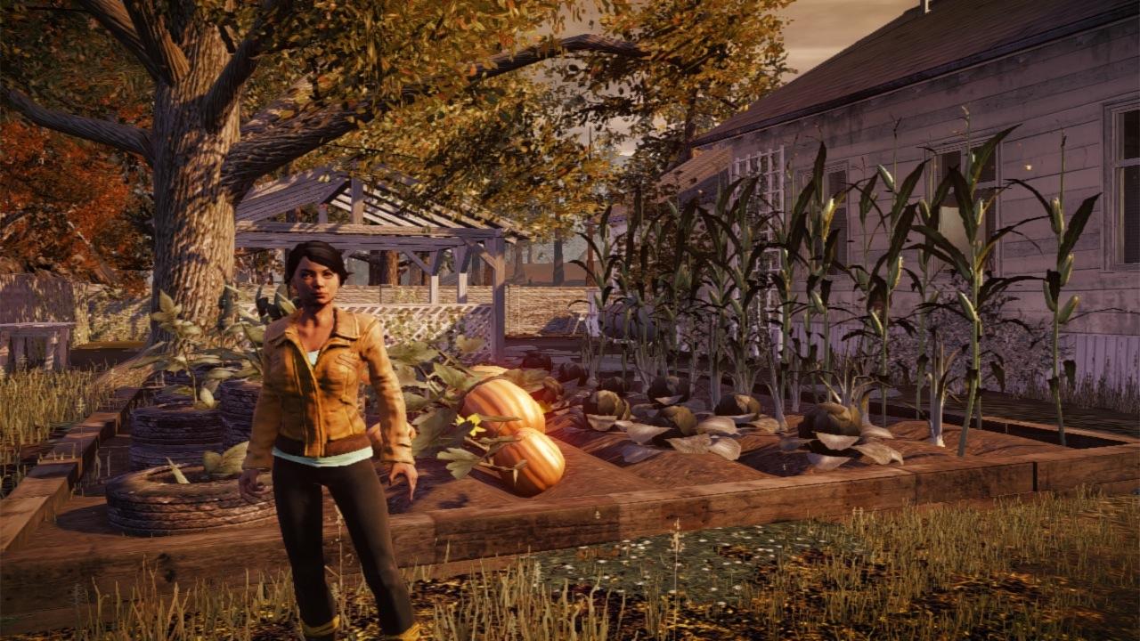 S&S; Review: State of Decay