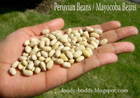 Simple Peruvian (Mayocoba) Beans Salad