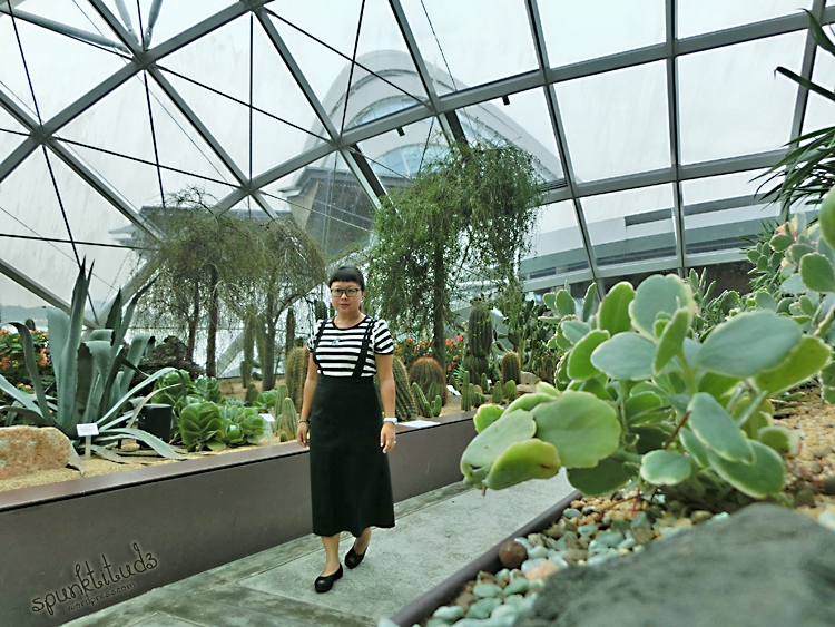 Look of the Day - Black and White at Flower Dome