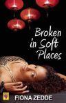 BrokenInSoftPlaces