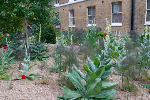 Verbascuum in Hare Court by the Inner Temple, EC4 2