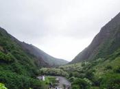 Maui: Valley